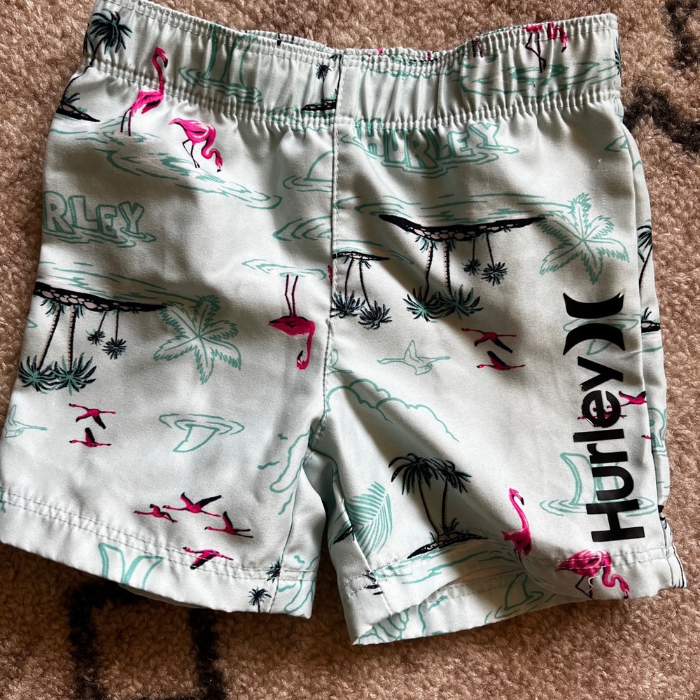 Hurley Mint Green Swim Trunks with Pink Flamingo Print